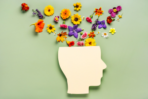 Digital Health Behavioral Health