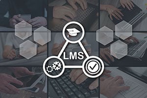 Develop Your LMS Strategy with Experienced Advisors