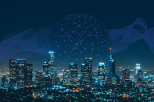 Digital Government City