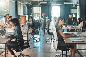 Employees in workplace