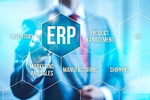 a man pointing at an erp graph and all the elements it covers