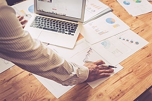 IT portfolio management done by a business owner