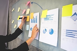 Examination of risk management process results