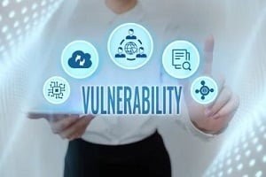 vulnerability concept