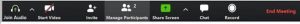 Toolbar from Zoom